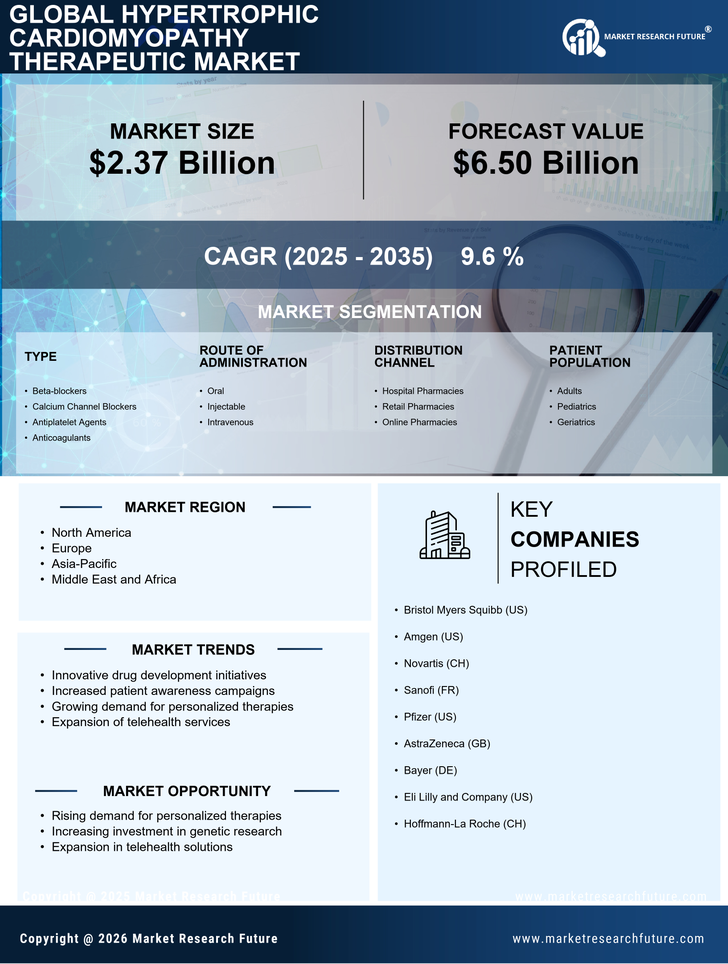 Hypertrophic Cardiomyopathy Therapeutic Market Infographic