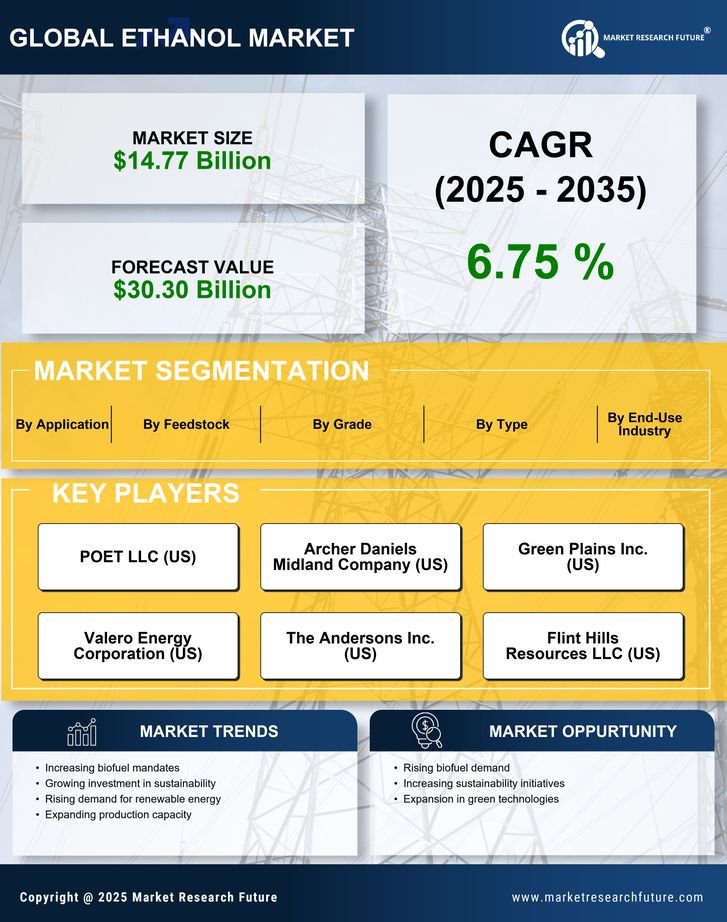 Europe Ethanol Market Research Report — Forecast till 2035 Infographic