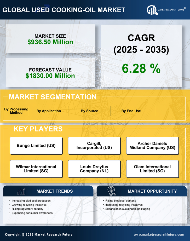 China Used Cooking Oil Market Research Report-Forecast to 2035 Infographic