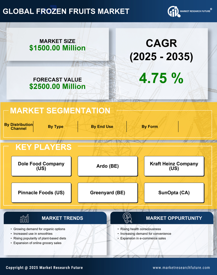 North America Frozen Fruits Market Research Report — Forecast till 2035 Infographic