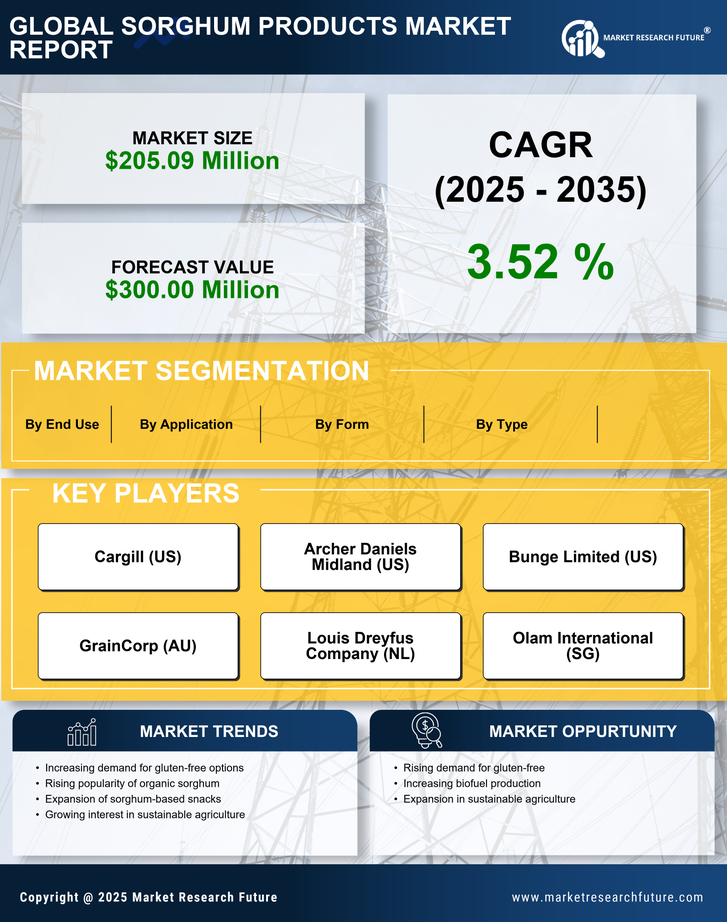 Brazil Sorghum Products Market Infographic