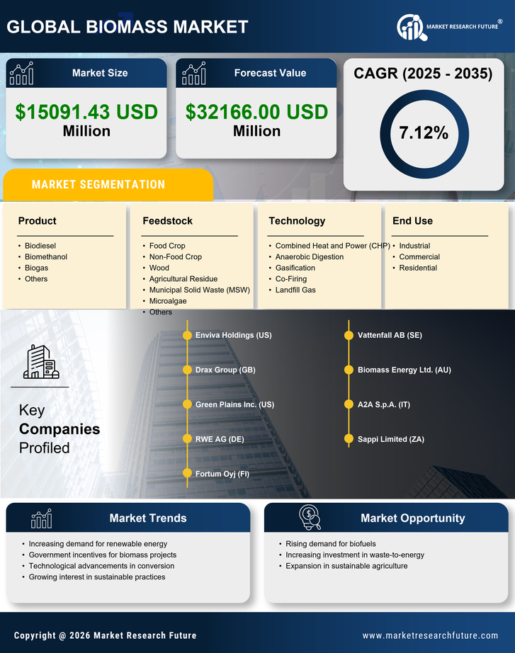 North America Biomass Market Research Report - Forecast 2035 Infographic