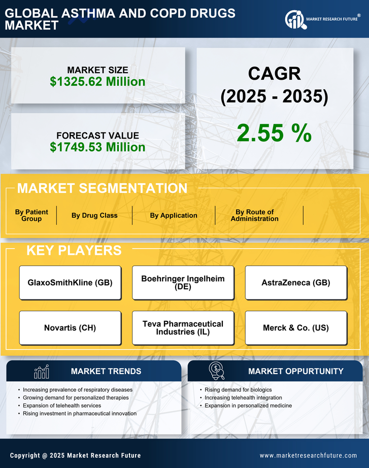 France Asthma COPD Drugs Market Research Report- Forecast to 2035 Infographic