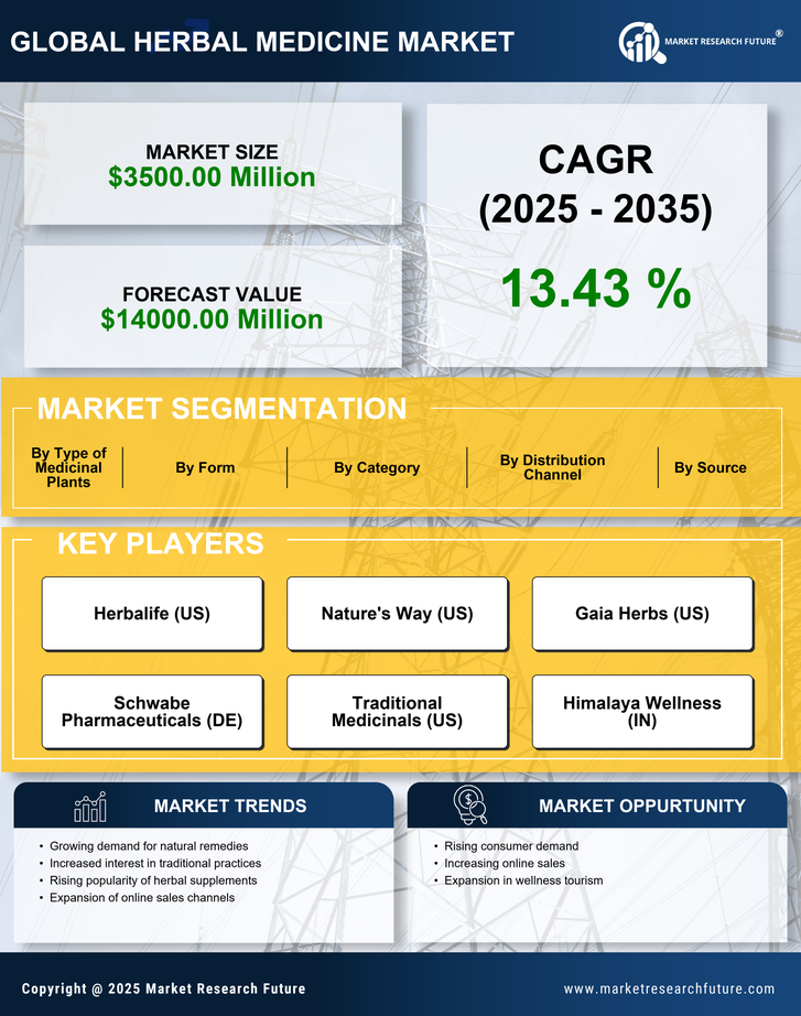 Italy Herbal Medicine Market Research Report - Forecast to 2035 Infographic
