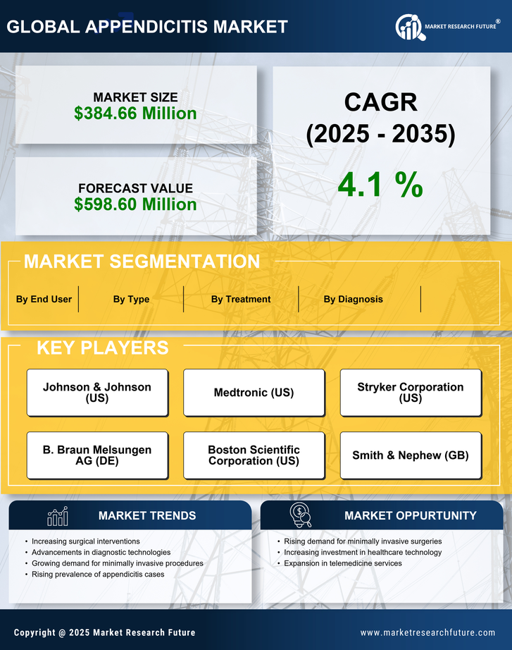 France Appendicitis Market Research Report- Forecast To 2035 Infographic