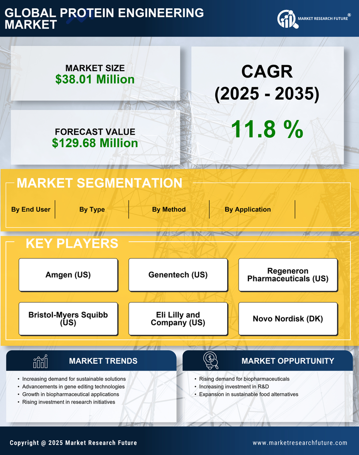 South Korea Protein Engineering Market Research Report-Forecast to 2035 Infographic