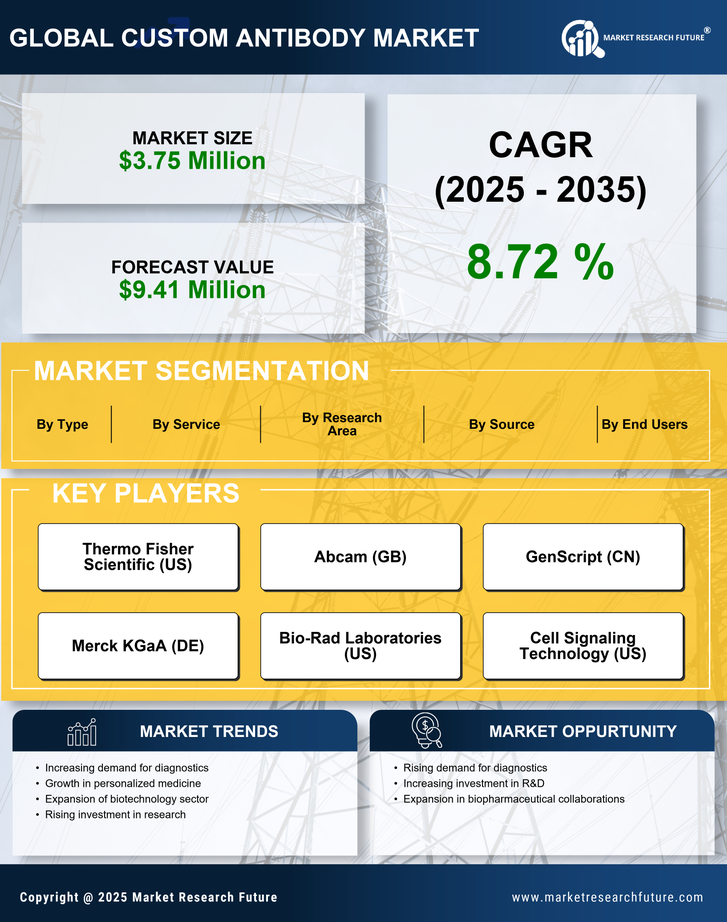 Italy Custom Antibody Market Research Report- Forecast To 2035 Infographic