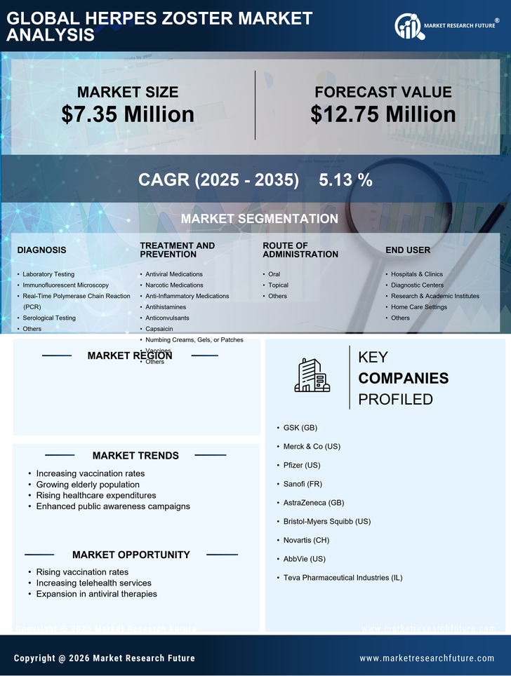 Italy Herpes Zoster Market Research Report-Forecast to 2035 Infographic