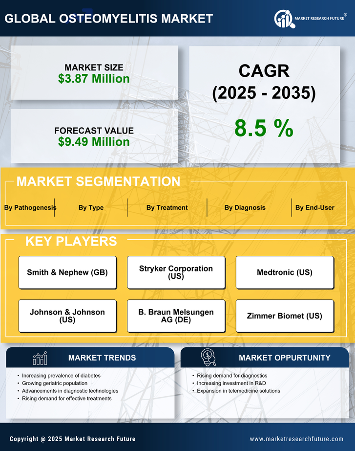 Japan Osteomyelitis Market Research Report-Forecast to 2035 Infographic