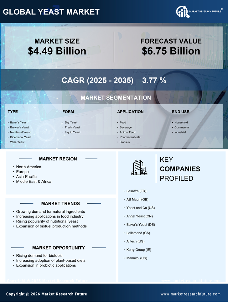 Yeast Market Research Report- Forecast till 2035 Infographic