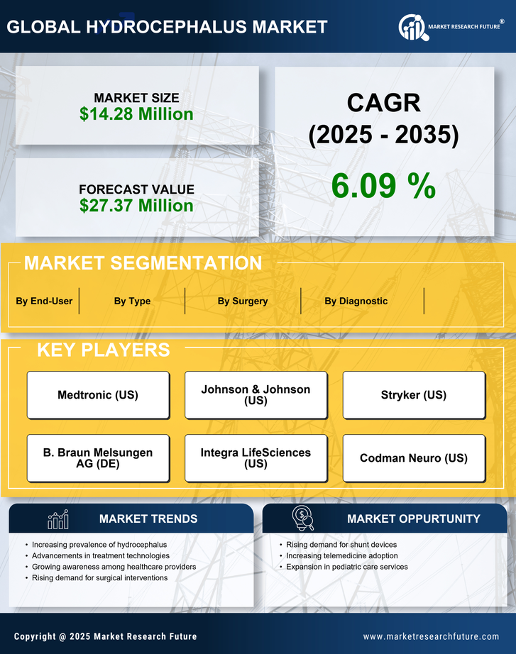 South Korea Hydrocephalus Market Research Report- Forecast to 2035 Infographic