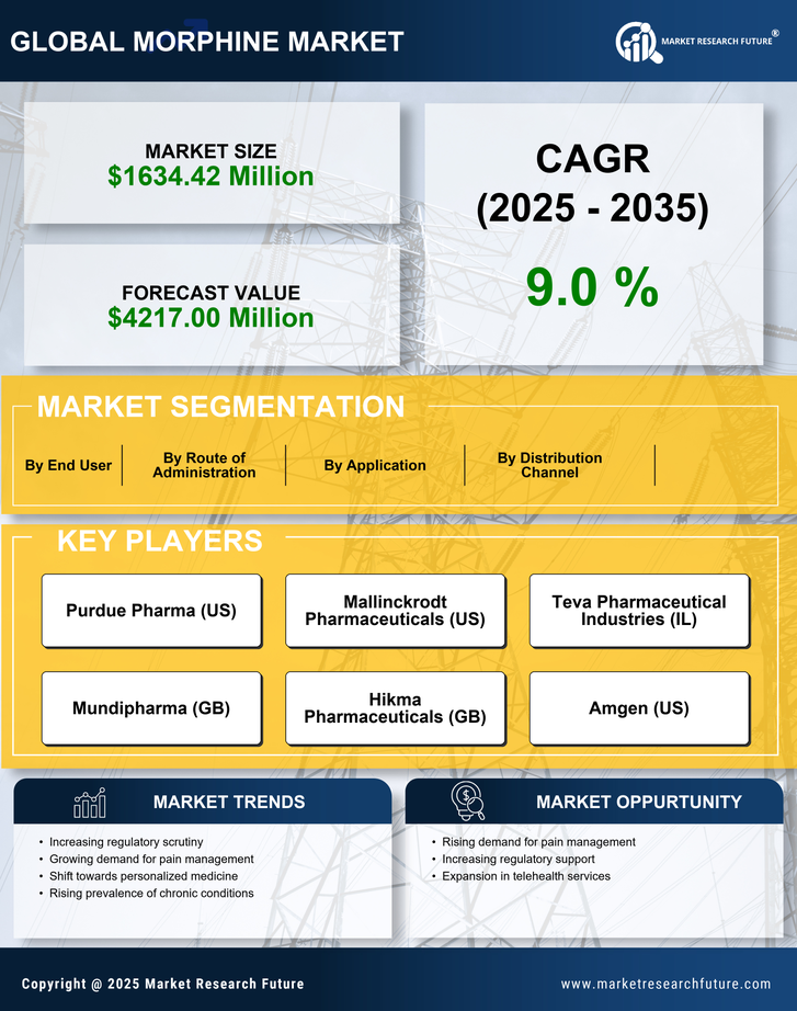 UK Medical Morphine Market Research Report-Forecast to 2035 Infographic