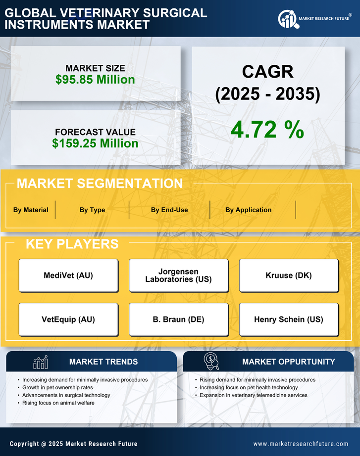UK Veterinary Surgical Instruments Market Infographic