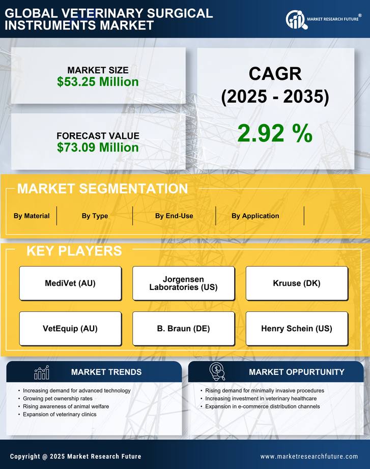GCC Veterinary Surgical Instruments Market Research Report - Forecast to 2035 Infographic