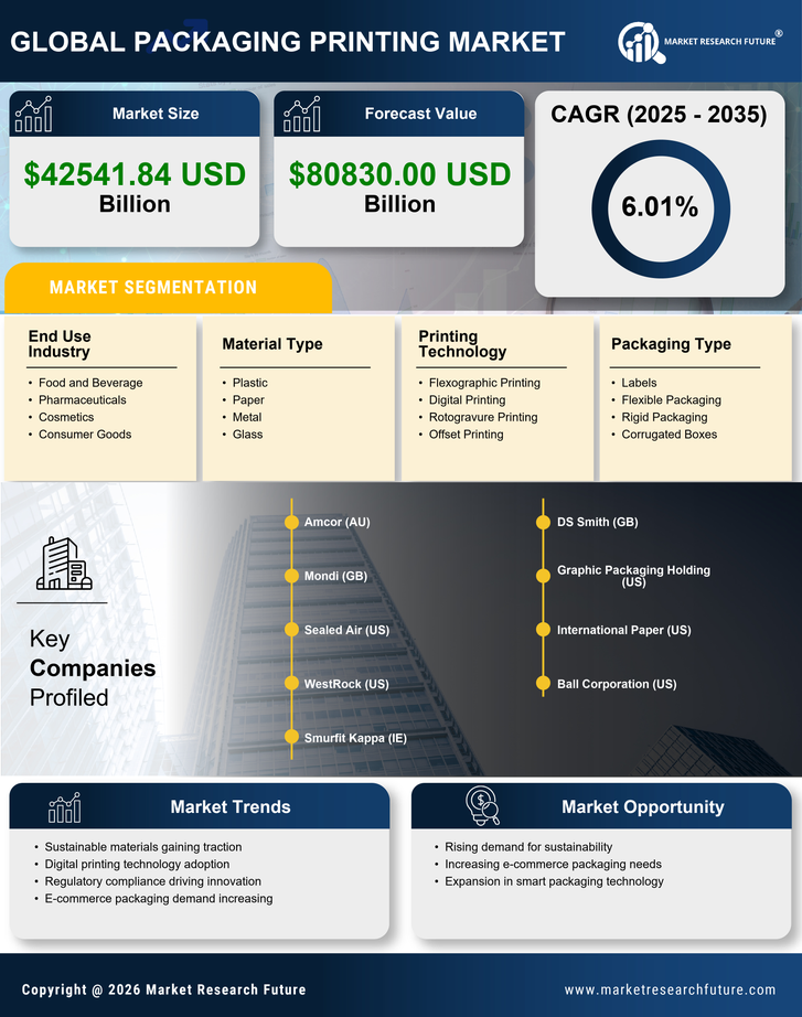 China Packaging Printing Market Research Report-Forecast to 2035 Infographic