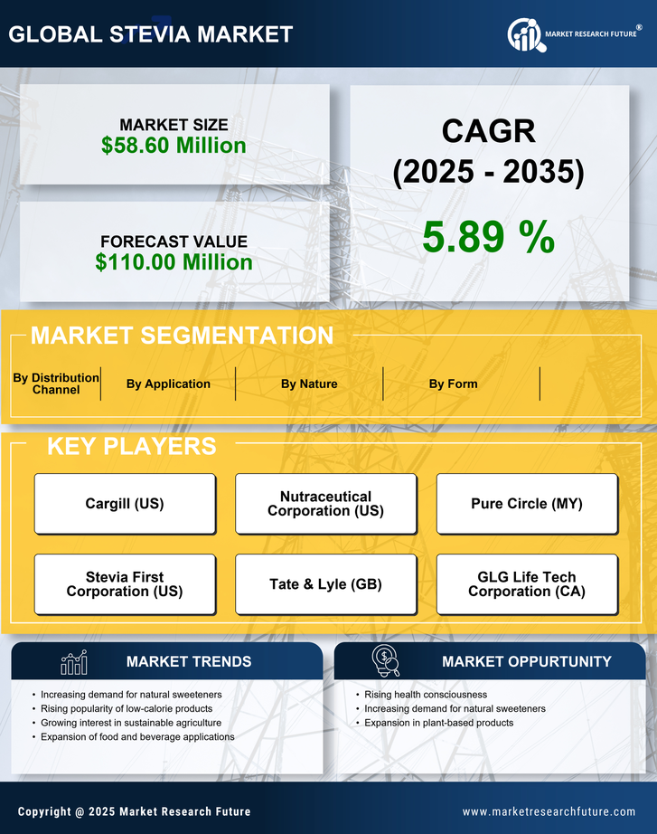 Spain Stevia Market Research Report — Forecast till 2035 Infographic