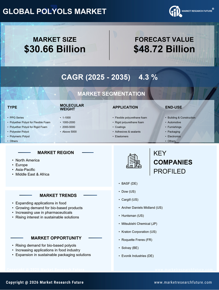 Polyols Market Research Report – Forecast Till 2035 Infographic