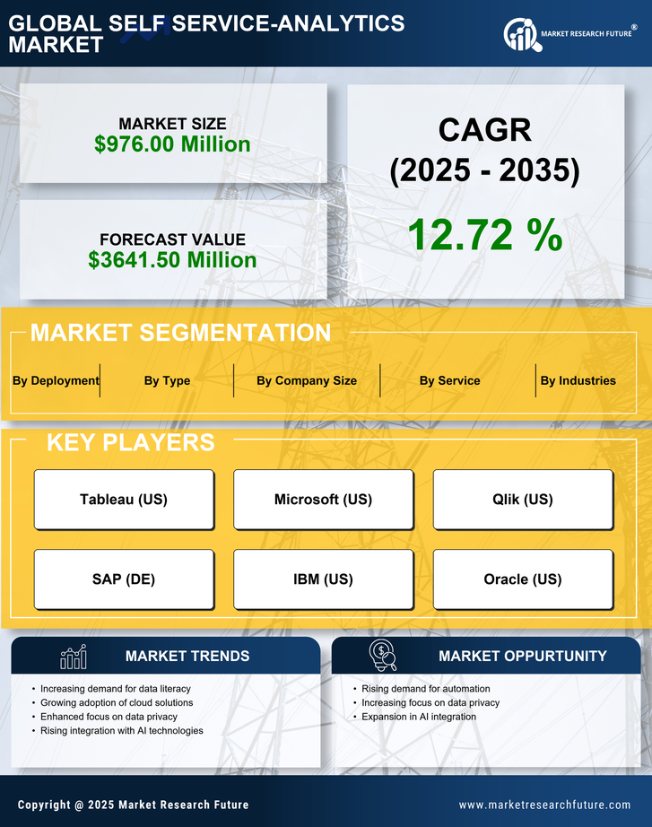 Europe Self-Service Analytics Market Research Report- Forecast to 2035 Infographic