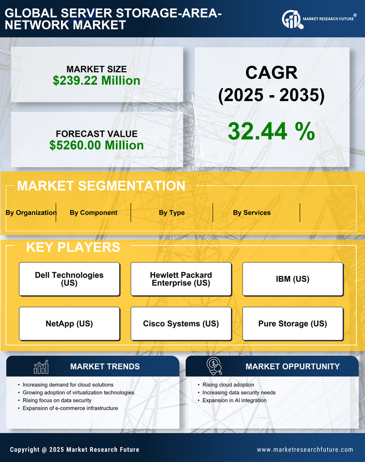 Brazil Server Storage Area Network Market Research Report - Forecast to 2035 Infographic
