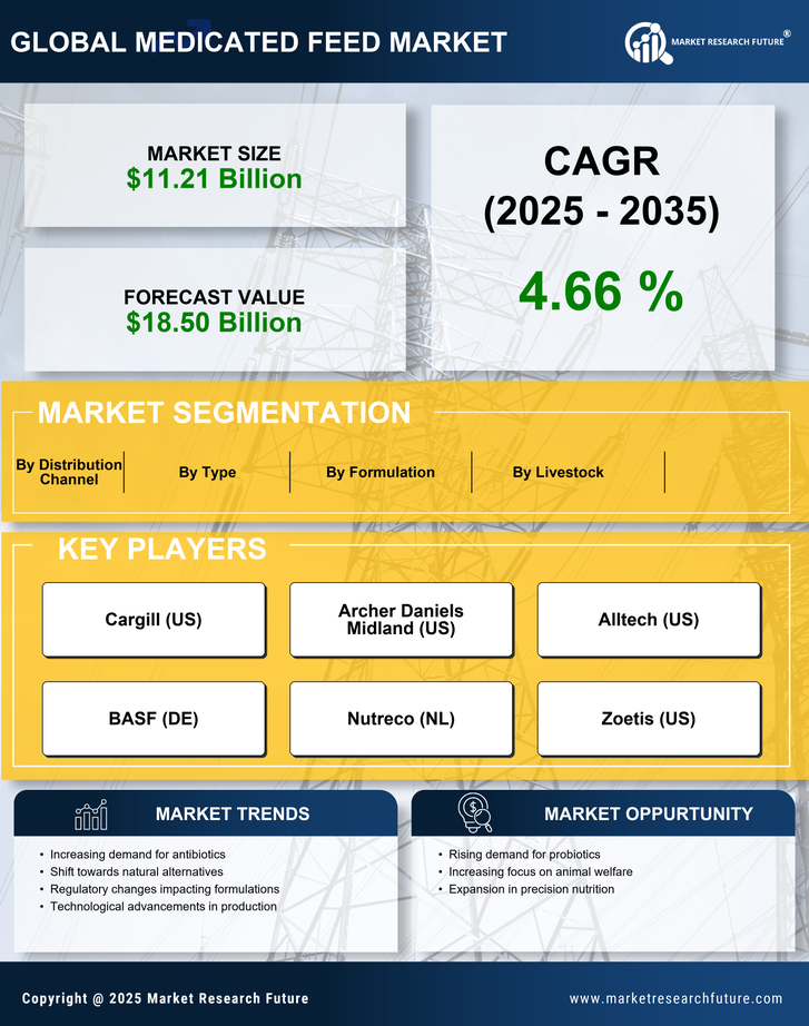 Medicated Feed Market Research Report – Forecast to 2035 Infographic