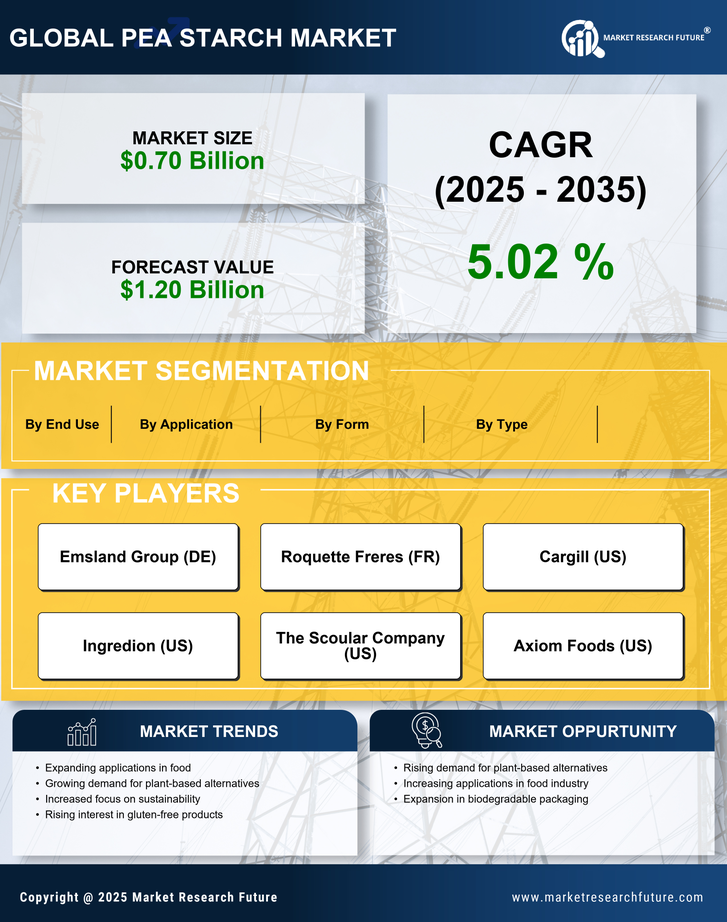Pea Starch Market Research Report-Forecast to 2035 Infographic