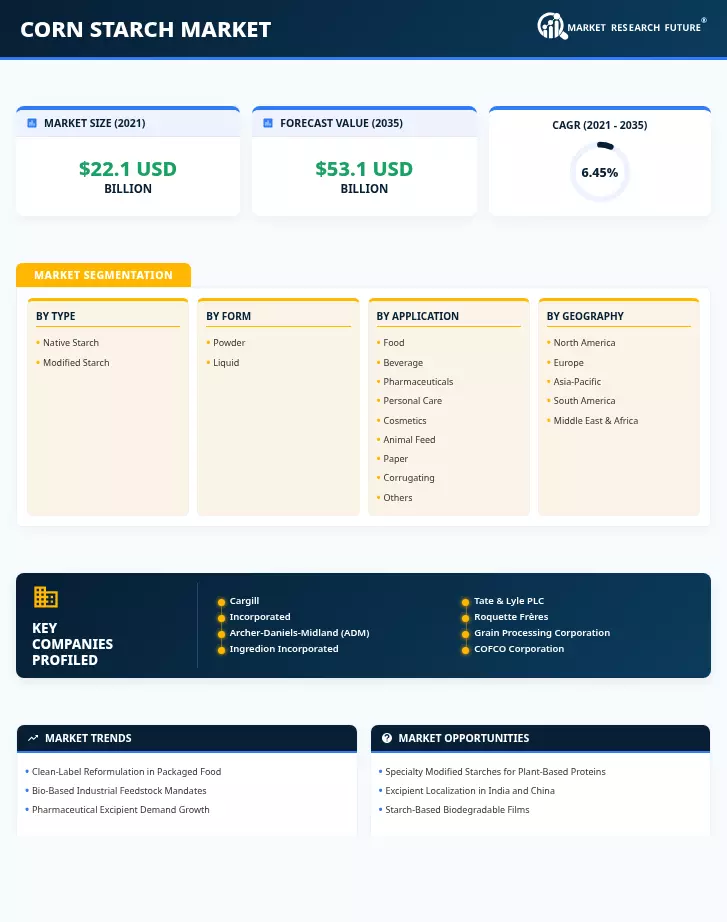 Corn Starch Market Research Report – Global Forecast till 2035 Infographic