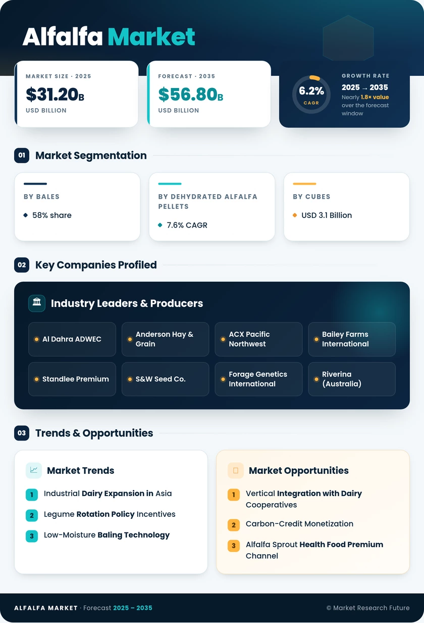 Alfalfa Market Research Report - Global Forecast till 2035 Infographic