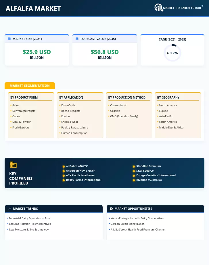 Alfalfa Market Research Report - Global Forecast till 2035 Infographic