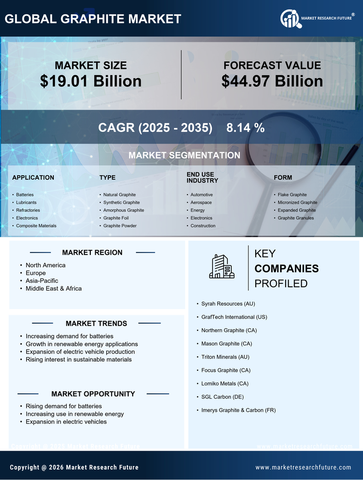Graphite Market Research Report- Forecast to 2035 Infographic