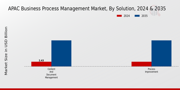 APAC Business Process Management Market Segment