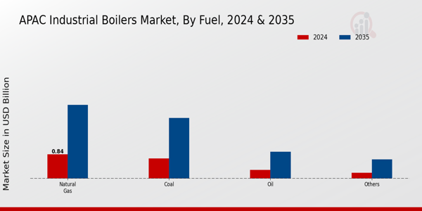 APAC Industrial Boilers Market Fuel Insights