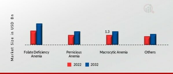 Active B12 Test Market by Application