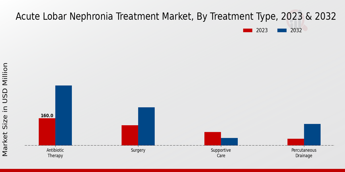 Acute Lobar Nephronia Treatment Market By Treatment Type