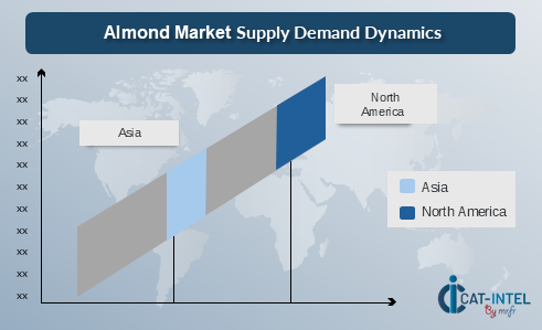 Almond Market Supply Demand Dynamics