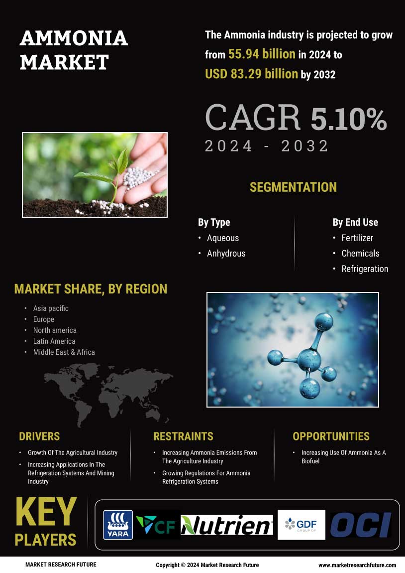 Ammonia Market