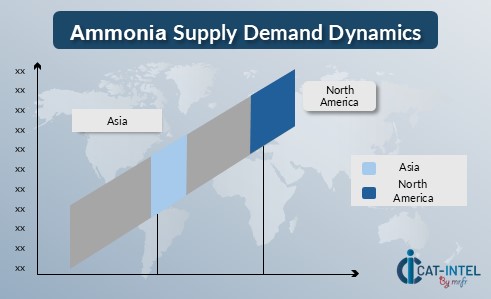 Ammonia Supply Demand Dynamic