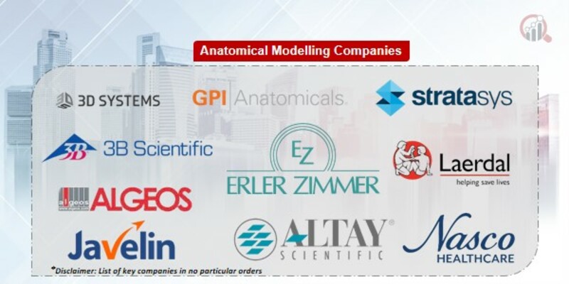 Anatomical Modelling Key Companies