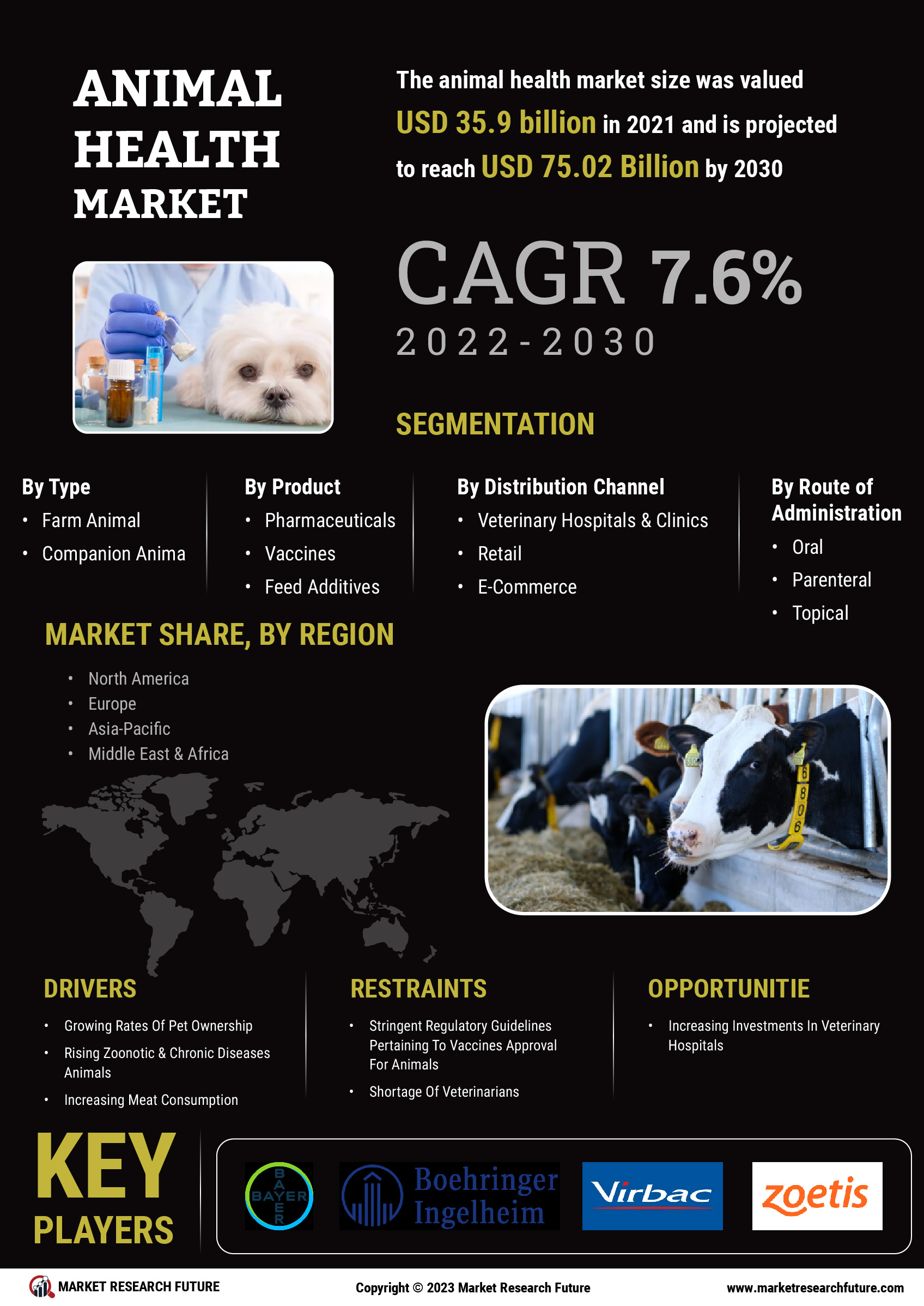 Animal Health Market