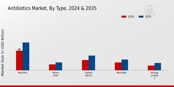 Antibiotics Market Type Insights
