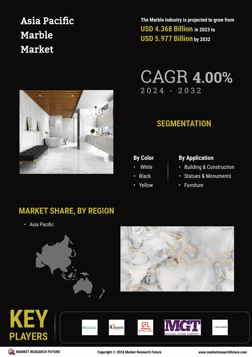 Asia Pacific Marble Market Research Report —Forecast till 2034 Infographic