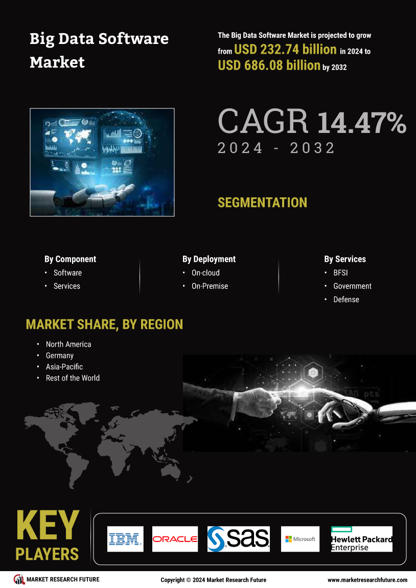 Big Data Software Market