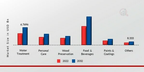 Biocides Market, by Application, 2022 & 2030