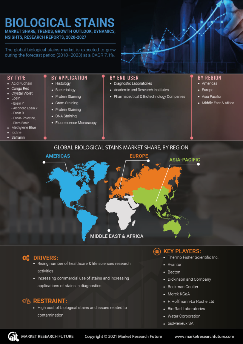 Biological Stains Market Research Report – Forecast to 2032 Infographic