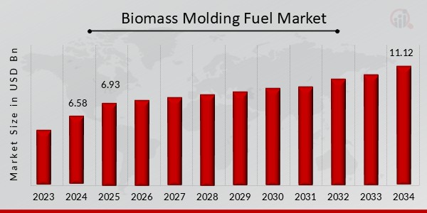 Biomass Molding Fuel Market Overview