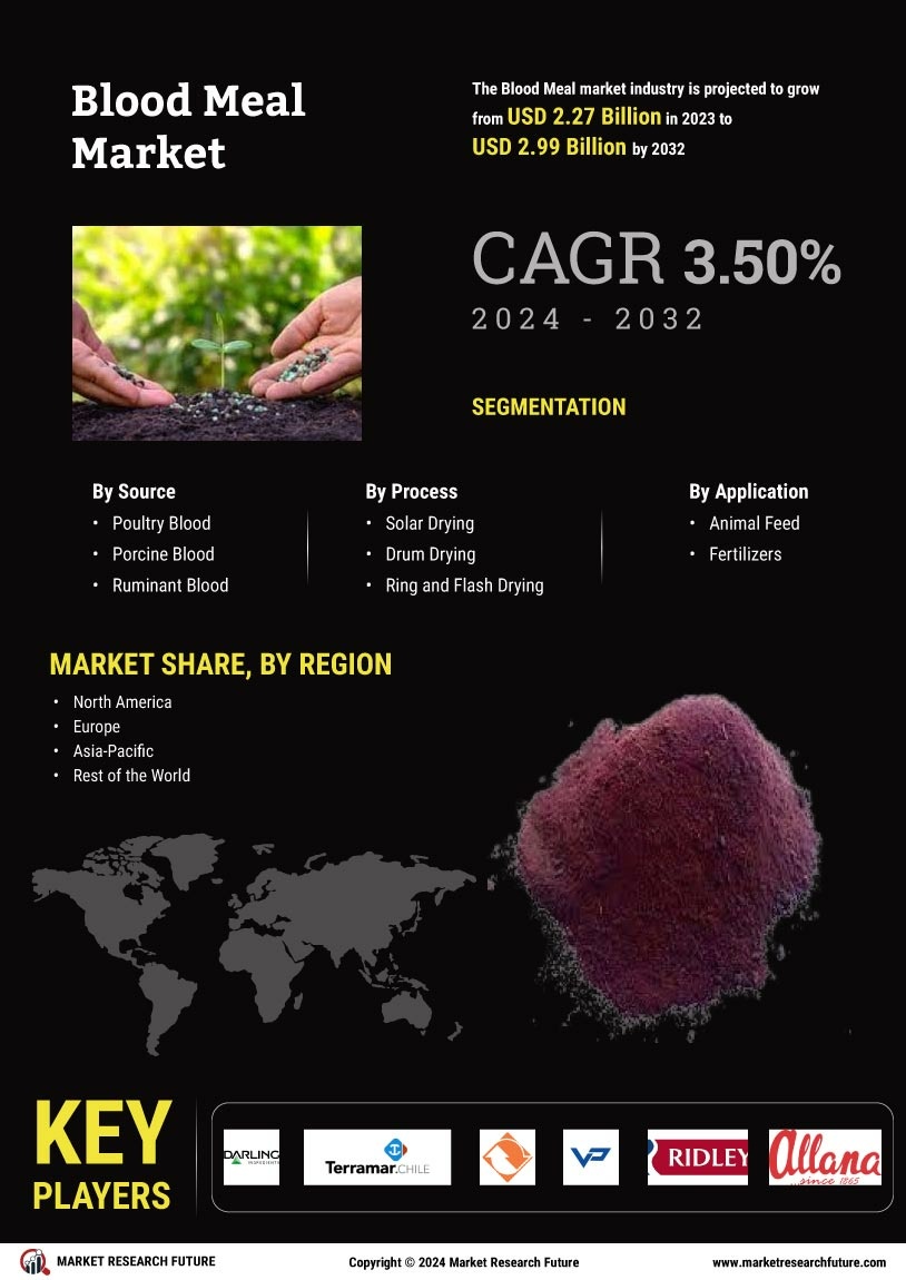 Blood Meal Market Research Report - Global Forecast till 2035 Infographic