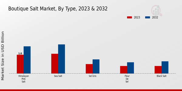 Boutique Salt Market Type Insights   