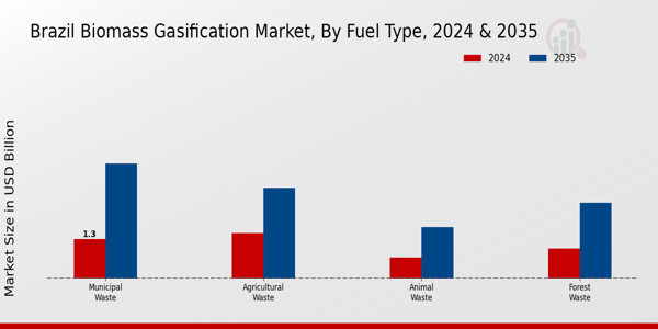 Brazil Biomass Gasification Market Segment