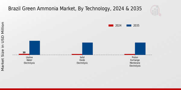 Brazil Green Ammonia Market Segment