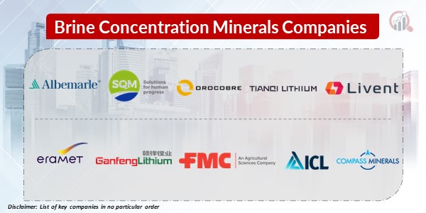 Brine Concentration Minerals Key Companies 