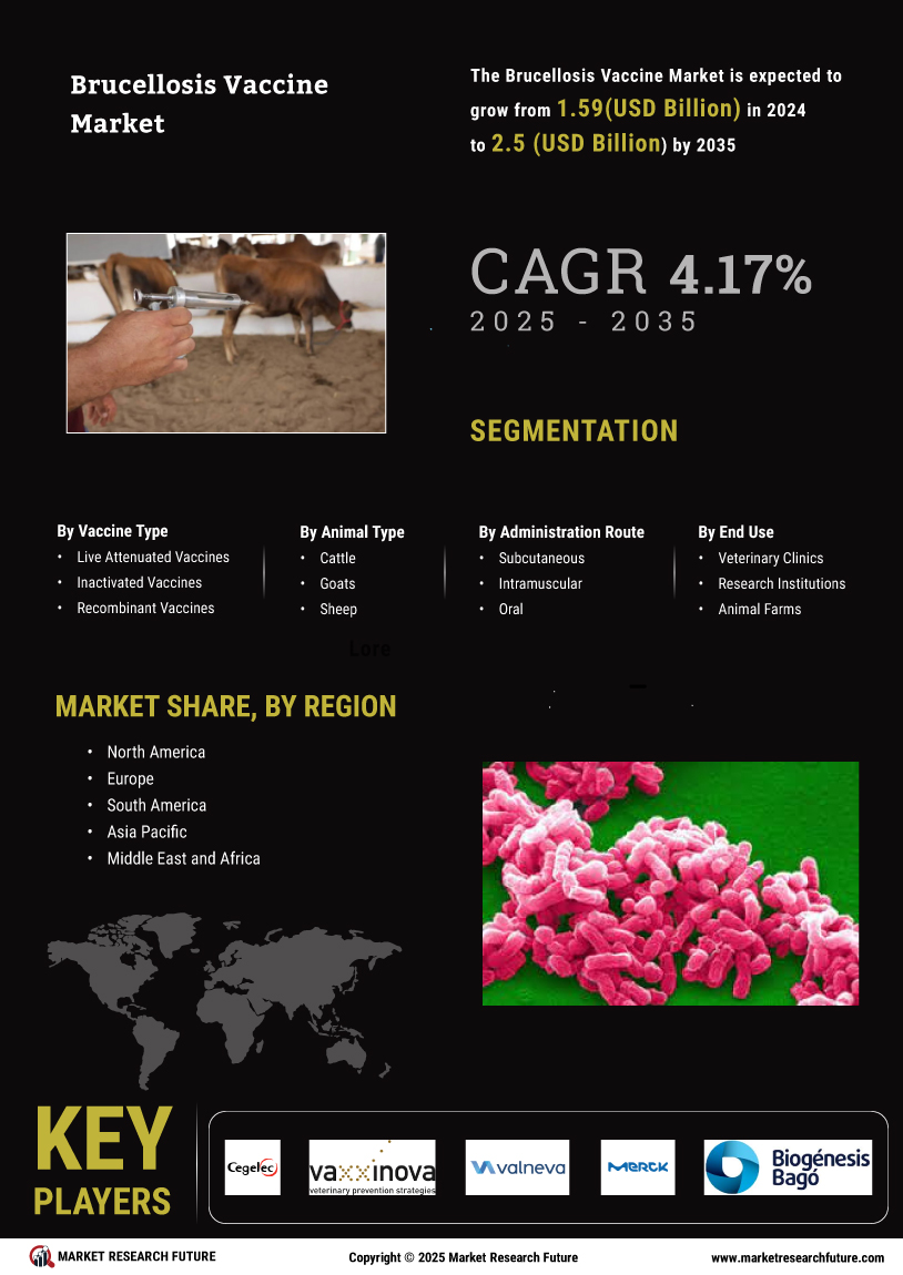 Brucellosis Vaccine Market Research Report - Global Forecast till 2035 Infographic